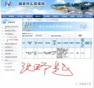 外汇黄金平台的好基友——智付被罚4000多万！