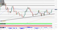 <b>欧元/美元预测：阻力，突破或反弹？技术面看涨，基本面受束缚</b>