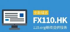 <b>【突发】独家：沈王爷再谈FX110域名事件</b>